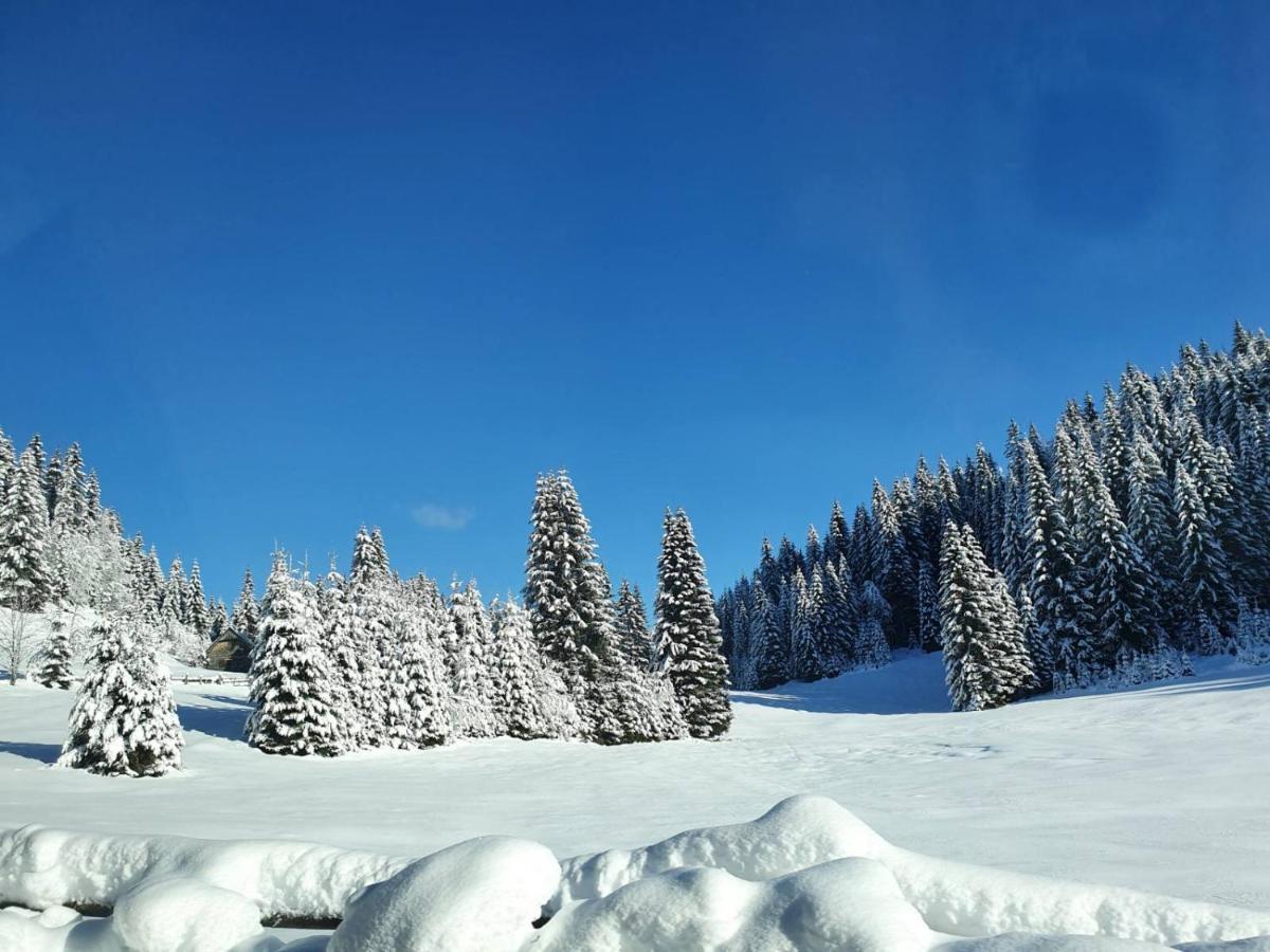 Zalin Planinski Raj Goreljek Bagian luar foto