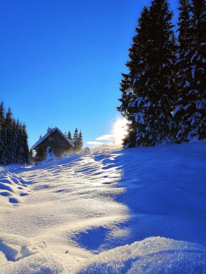 Zalin Planinski Raj Goreljek Bagian luar foto